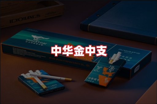 中华金中支